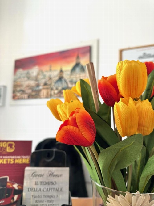 Il Tempio Della Capitale image 28